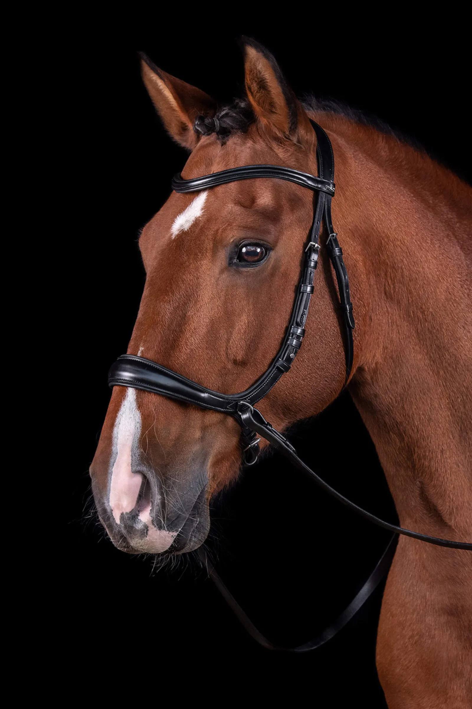 New Schockemöhle Sports Equitus Theta 3in1 Bridle Bridles & Nosebands