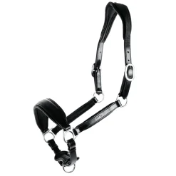 New Schockemöhle Sports Fremont Halter Headcollars & Halters