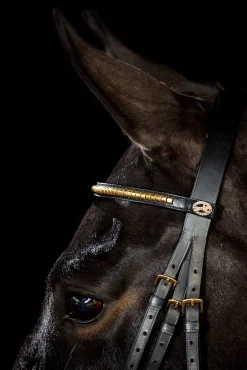 Clearance Schockemöhle Sports Heidelberg Bridle Pony Bridles & Halters|Bridles & Nosebands