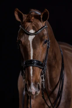 New Schockemöhle Sports Milan Glam Double Bridle Pony Bridles & Halters|Bridles & Nosebands