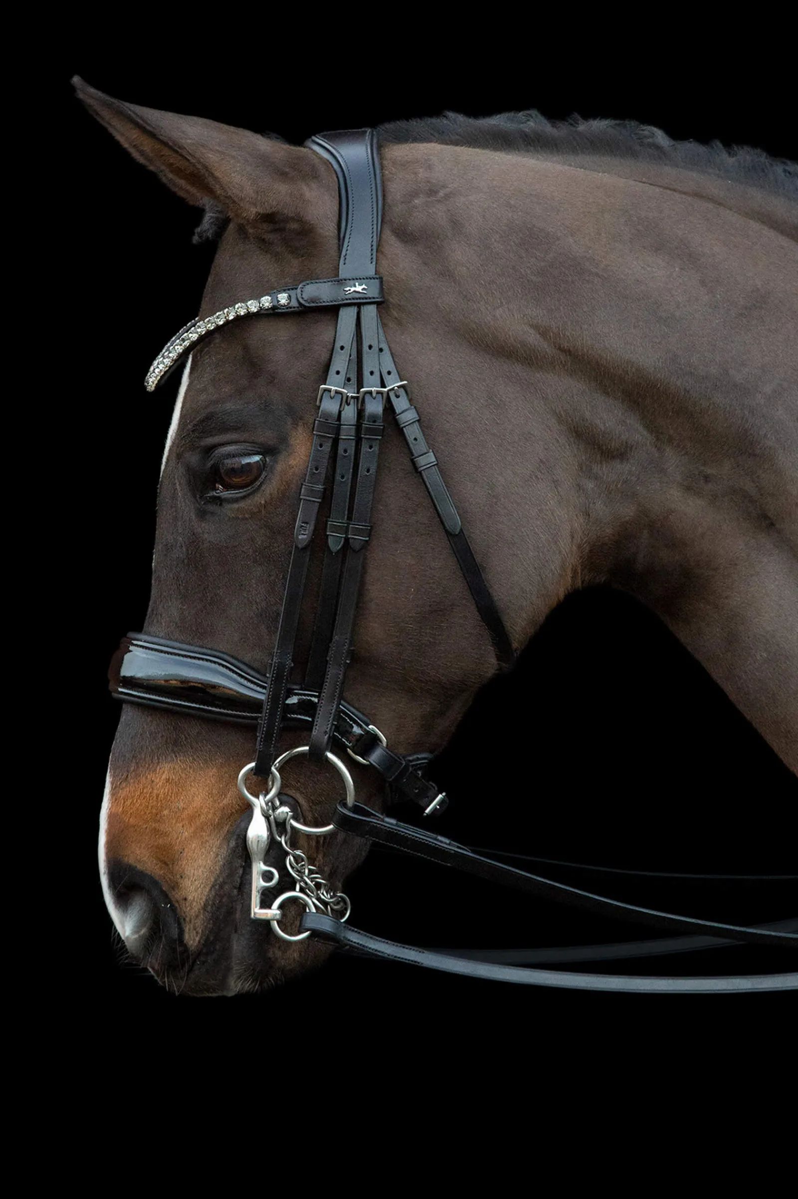 Clearance Schockemöhle Sports Milazzo Double Bridle Bridles & Nosebands