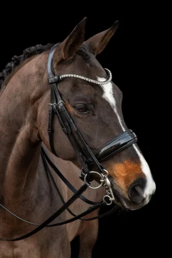 Clearance Schockemöhle Sports Milazzo Double Bridle Bridles & Nosebands