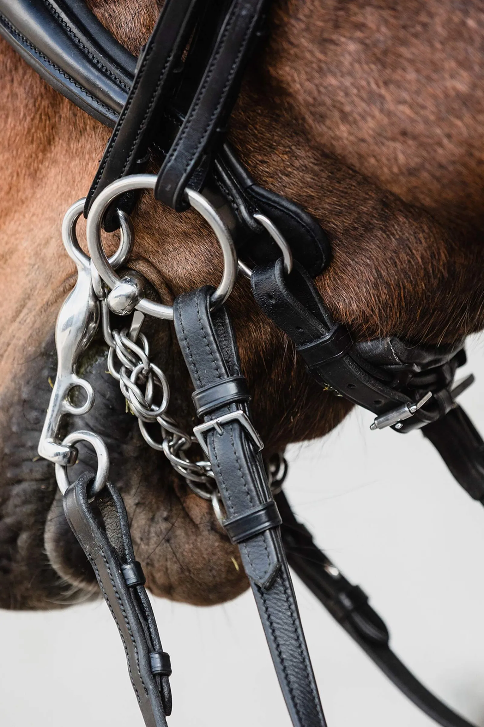 New Schockemöhle Sports Milton Anatomic Double Bridle Bridles & Nosebands