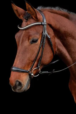 Best Schockemöhle Sports Pisa Bridle Pony Bridles & Halters|Bridles & Nosebands