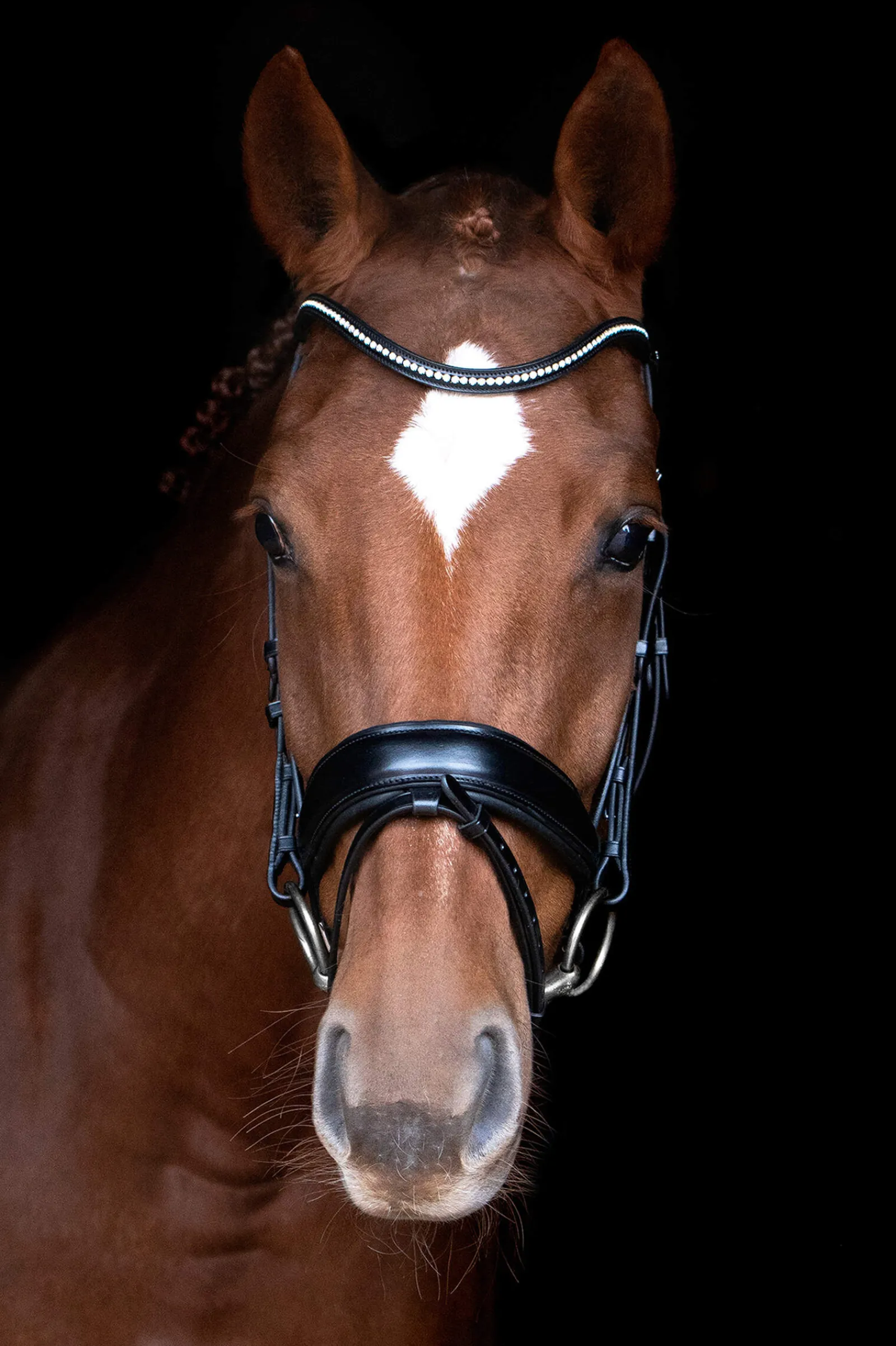 Online Schockemöhle Sports Stanford Anatomical Bridle Bridles & Nosebands