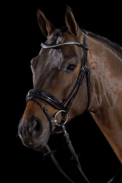 Outlet Schockemöhle Sports Stanford Bridle Pony Bridles & Halters|Bridles & Nosebands