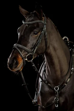 Online Schockemöhle Sports Tokyo F Select Bridle Pony Bridles & Halters|Bridles & Nosebands