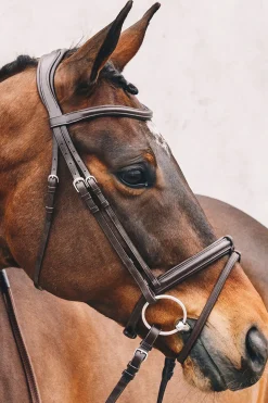 Best Schockemöhle Sports Tokyo Select Bridle Pony Bridles & Halters|Bridles & Nosebands