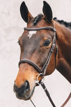 Best Schockemöhle Sports Tokyo Select Bridle Pony Bridles & Halters|Bridles & Nosebands