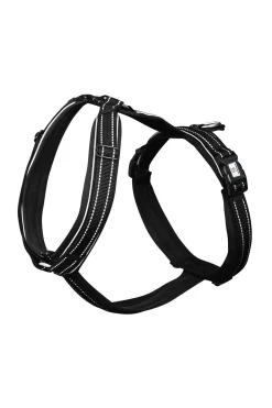 Sale Foal Harness Headcollars & Halters
