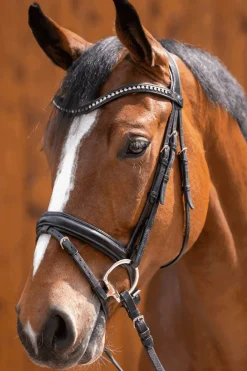 Clearance Novocontact Olivehead Bit, Double Jointed D-ring Snaffle