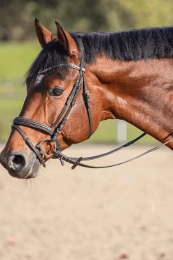 Clearance Novocontact Olivehead Bit, Double Jointed D-ring Snaffle