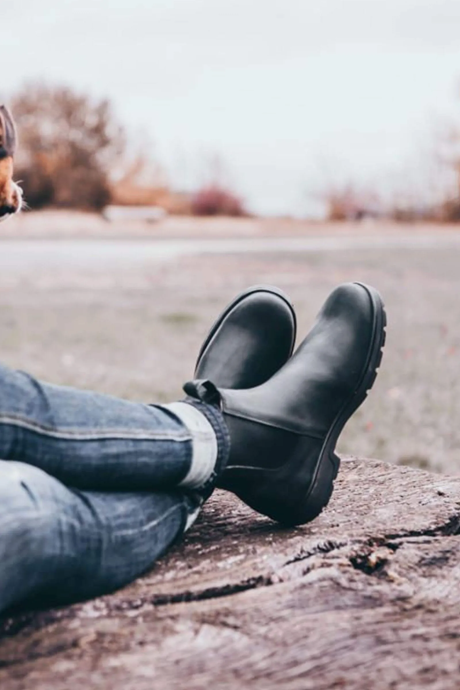 Clearance Suedwind Footwear 1888 Chelsea Jodhpur Boots Jodhpur Boots