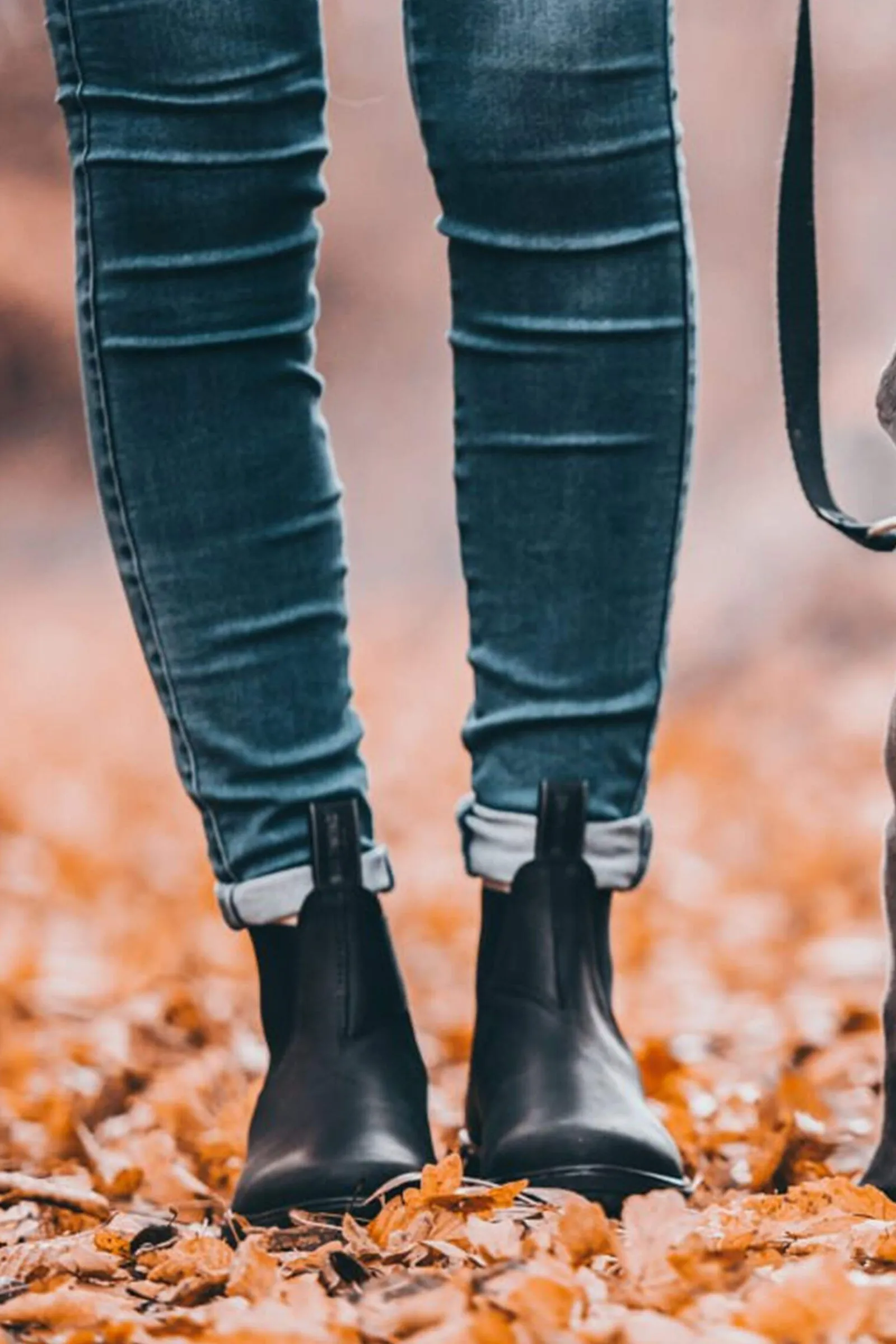 Clearance Suedwind Footwear 1888 Chelsea Jodhpur Boots Jodhpur Boots