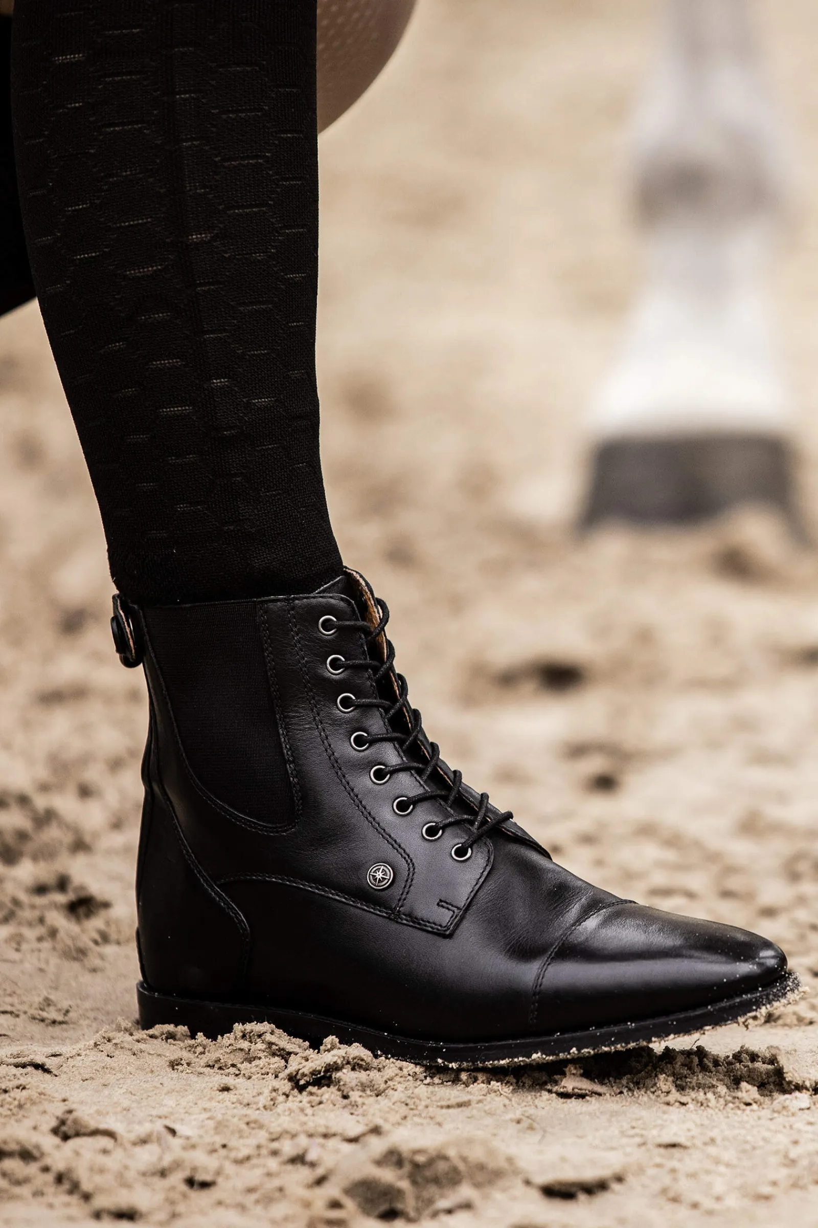 Outlet Suedwind Footwear Florentina Back Zip Lace Jodhpur Boots Jodhpur Boots