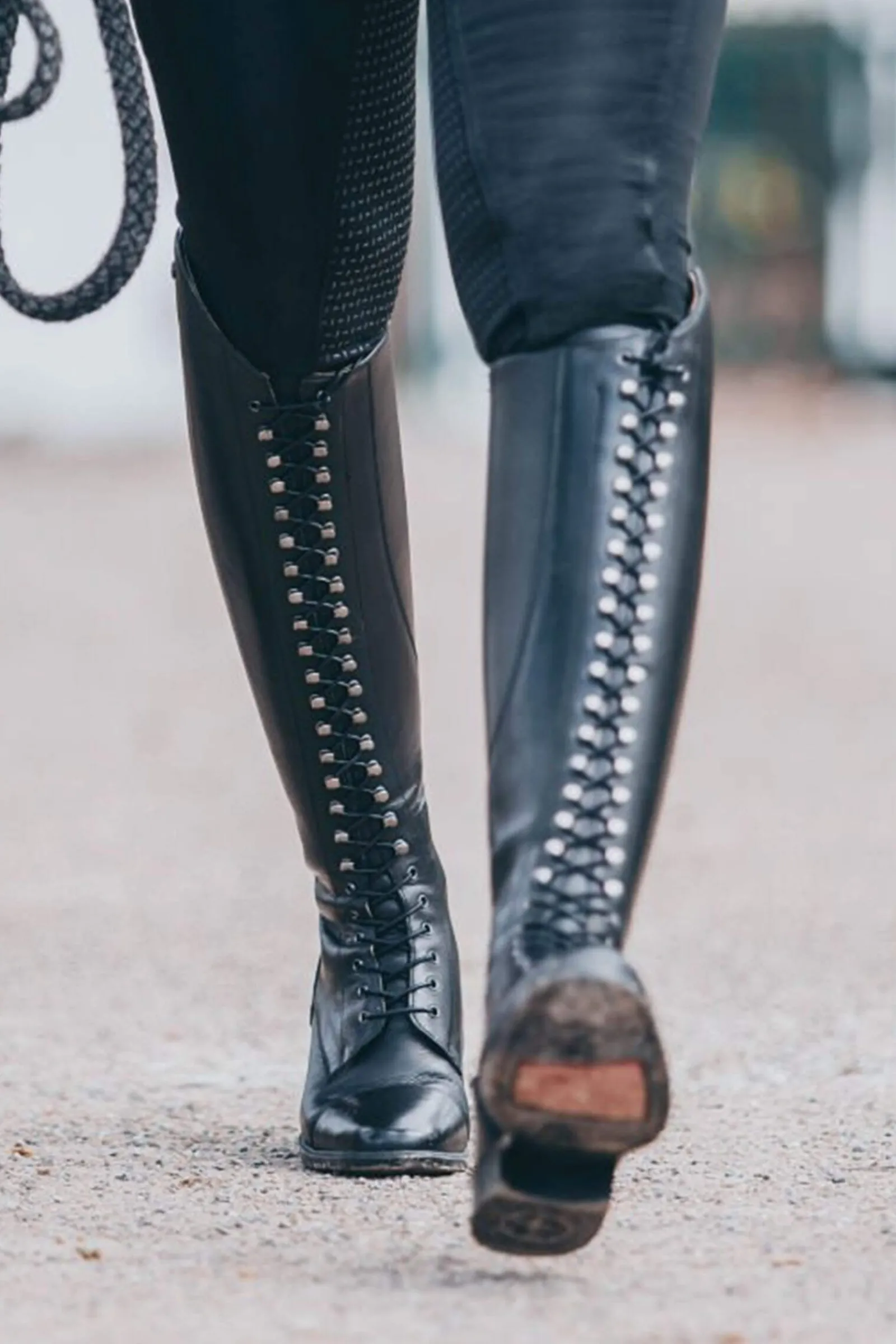 Clearance Suedwind Footwear Legacy Venado Lace Tall Riding Boots Riding Boots