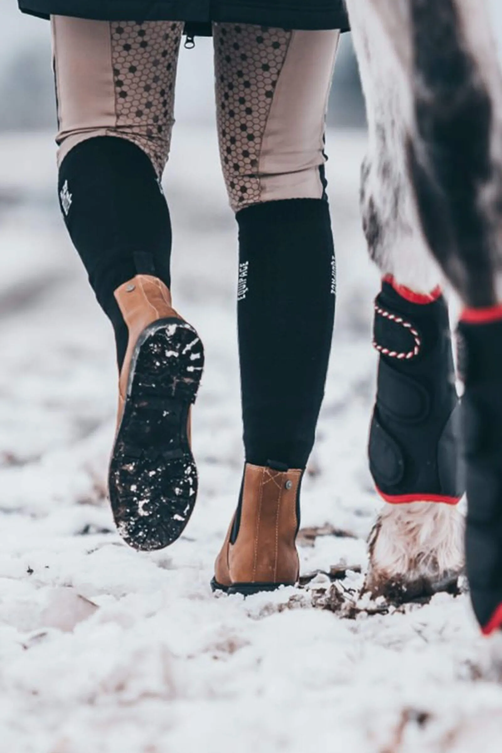 Hot Suedwind Footwear New Work Winter Jodhpur Boots Chelsea Jodhpur Boots