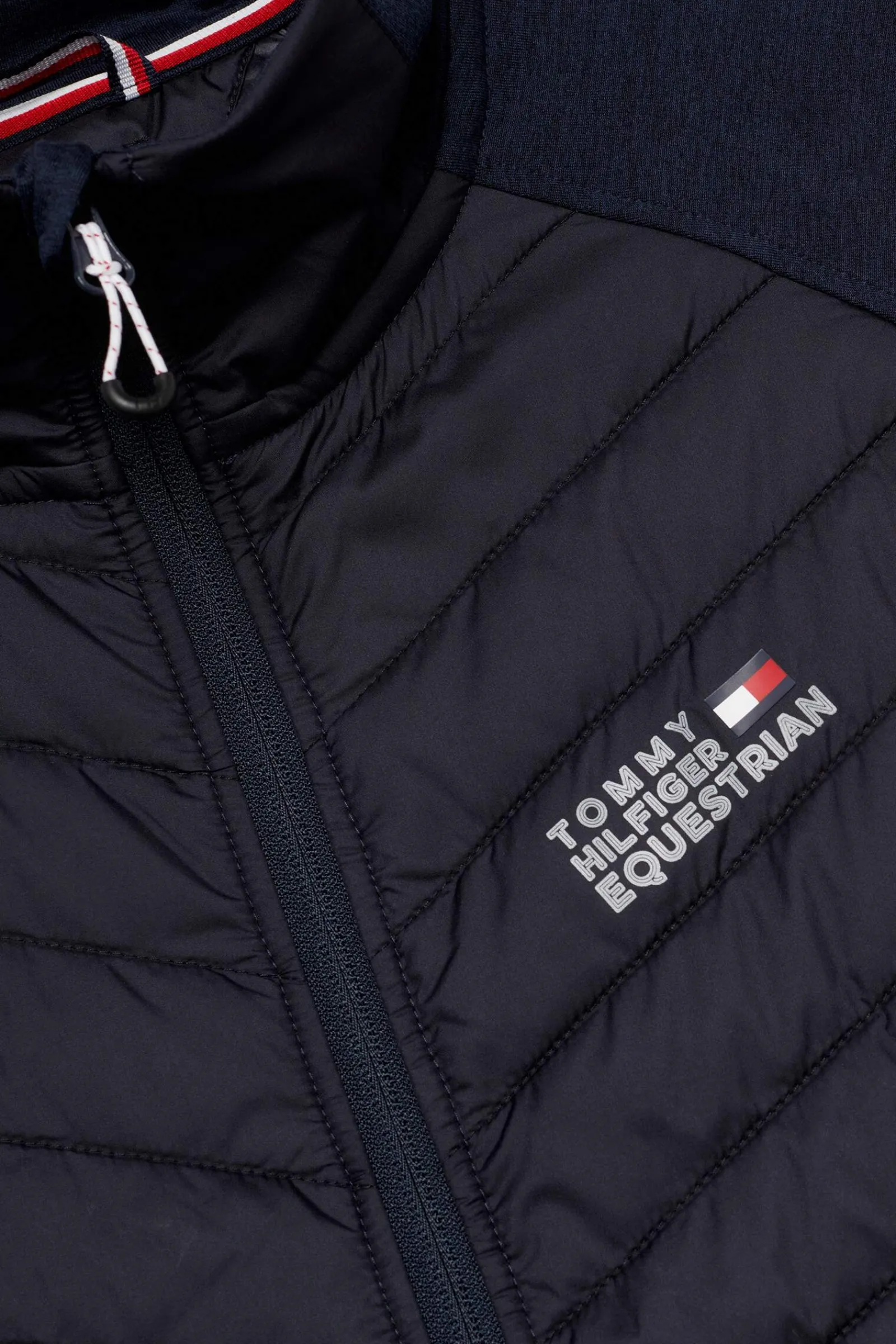 Sale Tommy Hilfiger Equestrian Thermo Men Riding Jackets