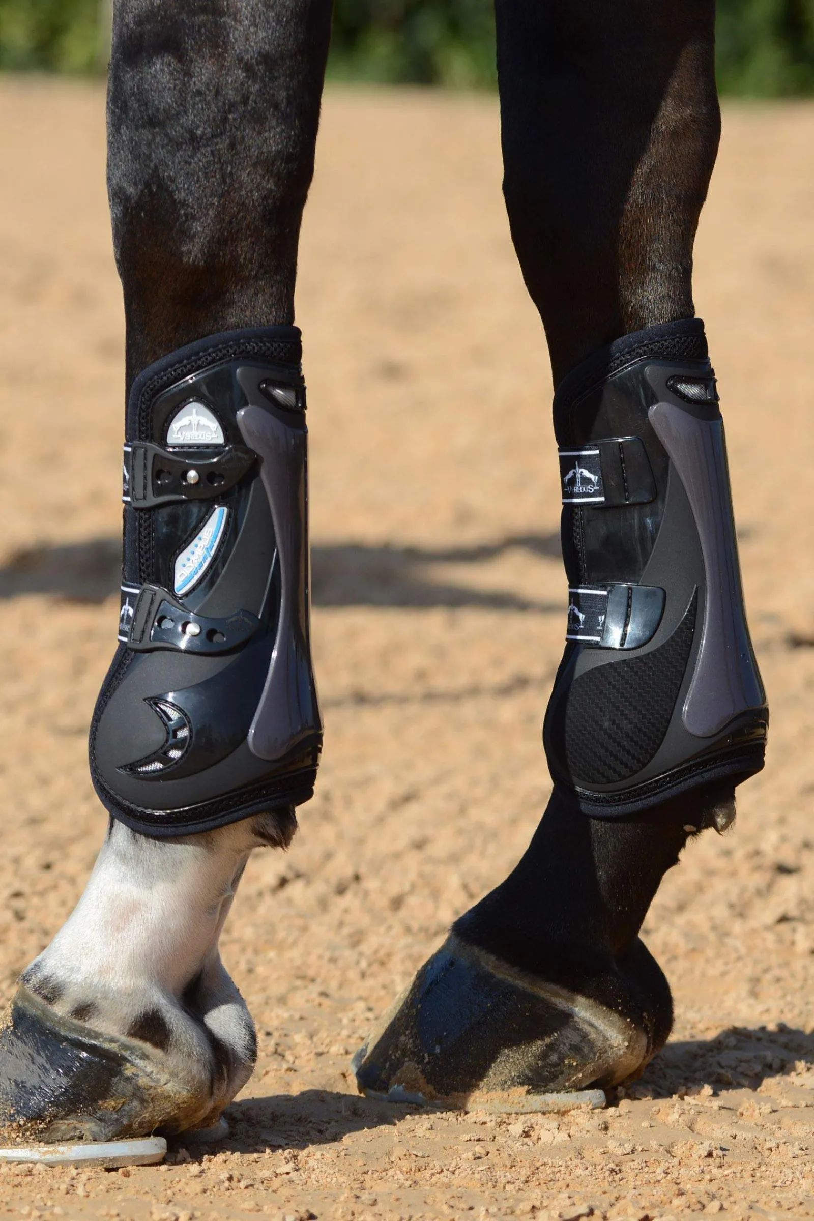 New Olympus Vento Tendon Boots Horse Boots