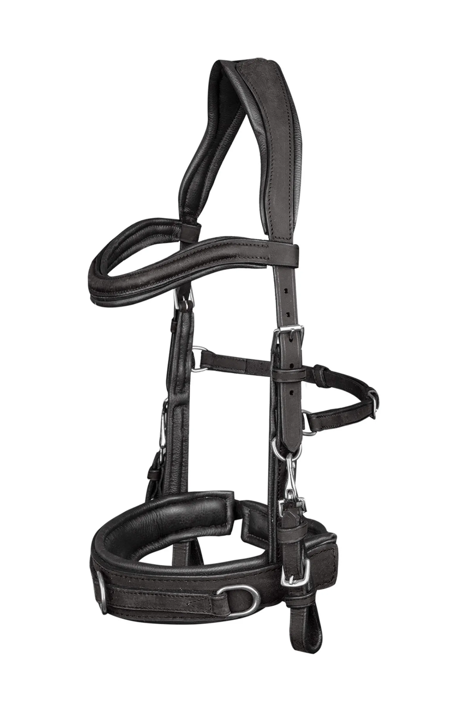 Clearance Anatomic Cavesson Lunging Cavessons|Lunging Cavessons