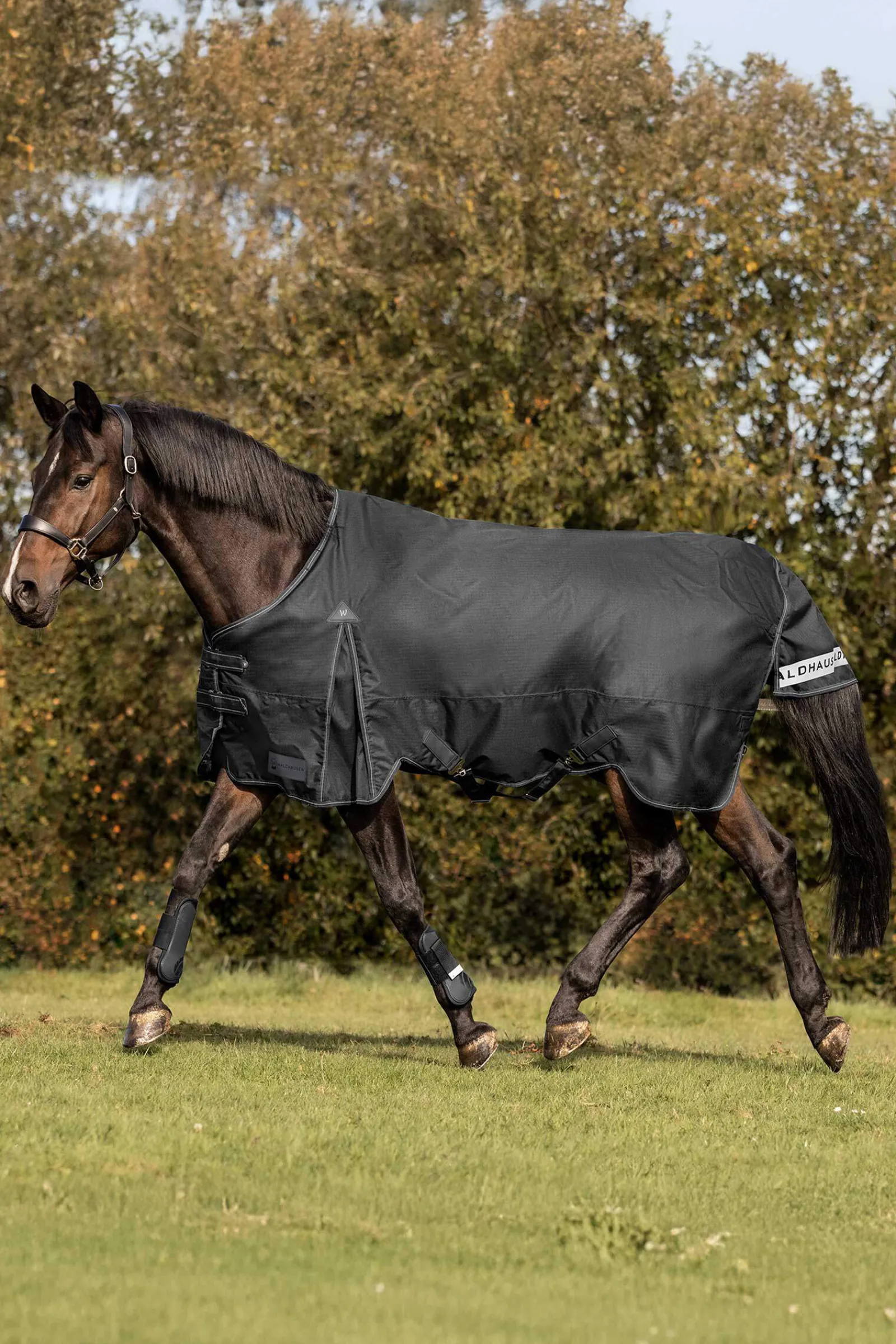Sale Arctic Turnout Rug, 200g Medium & Heavyweight Turnout Rugs
