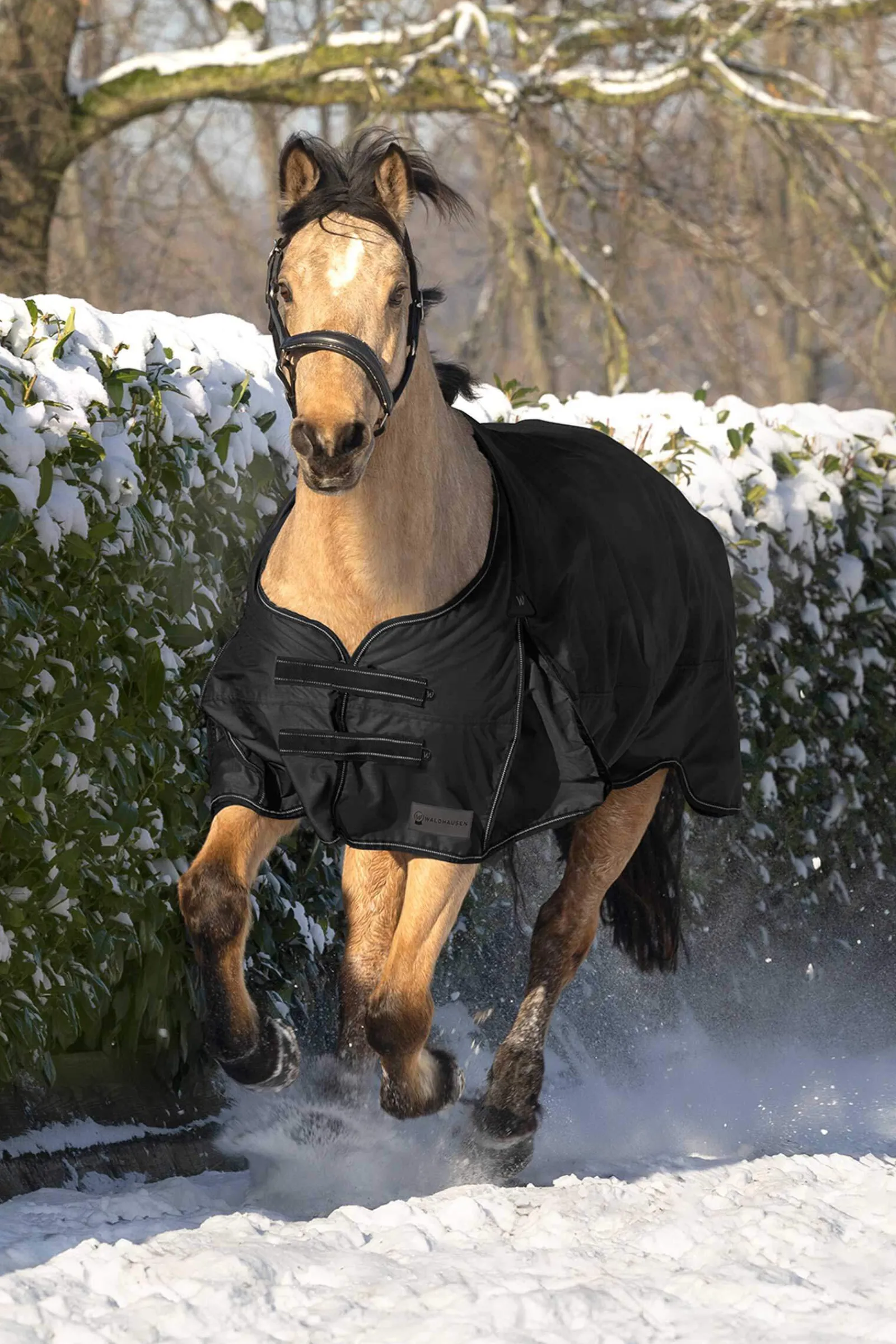 Sale Arctic Turnout Rug, 200g Medium & Heavyweight Turnout Rugs