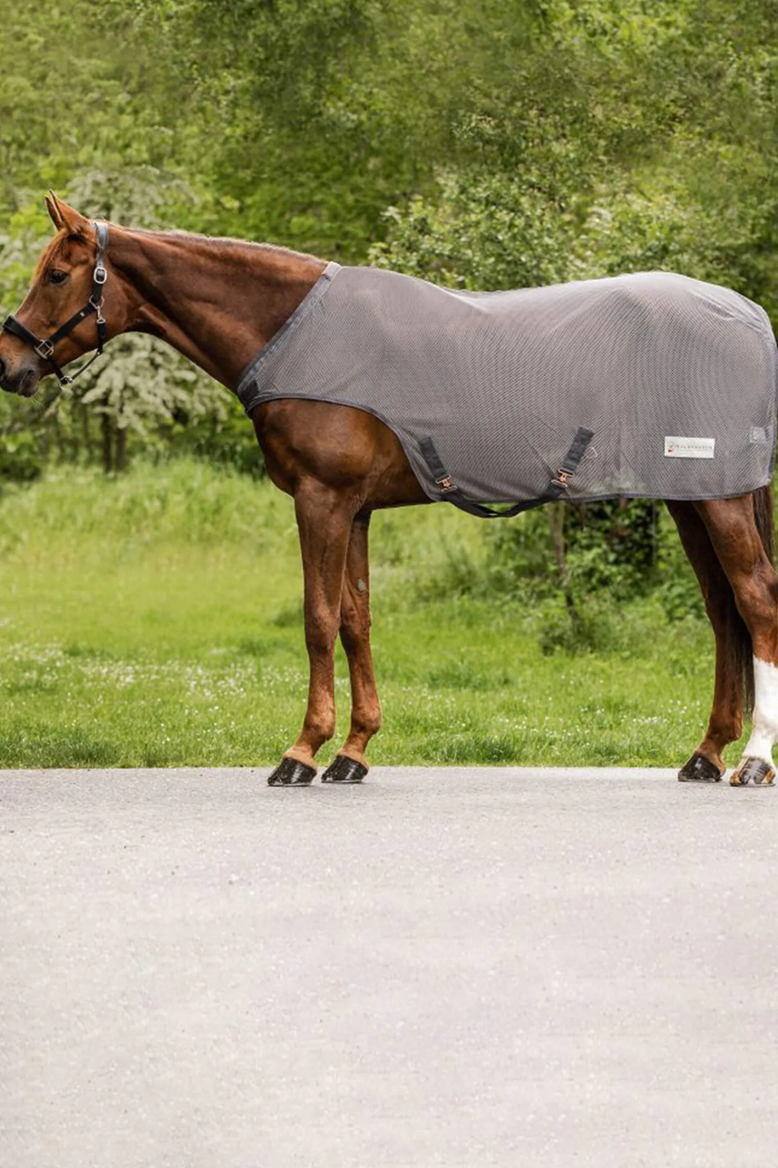 Fashion Comfort Fly-Horse Walker Rug Fly Rugs|Fly Rugs