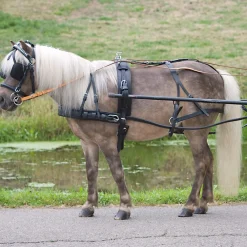 Hot Economic Single Harness Pony and Shetty Harness Kits