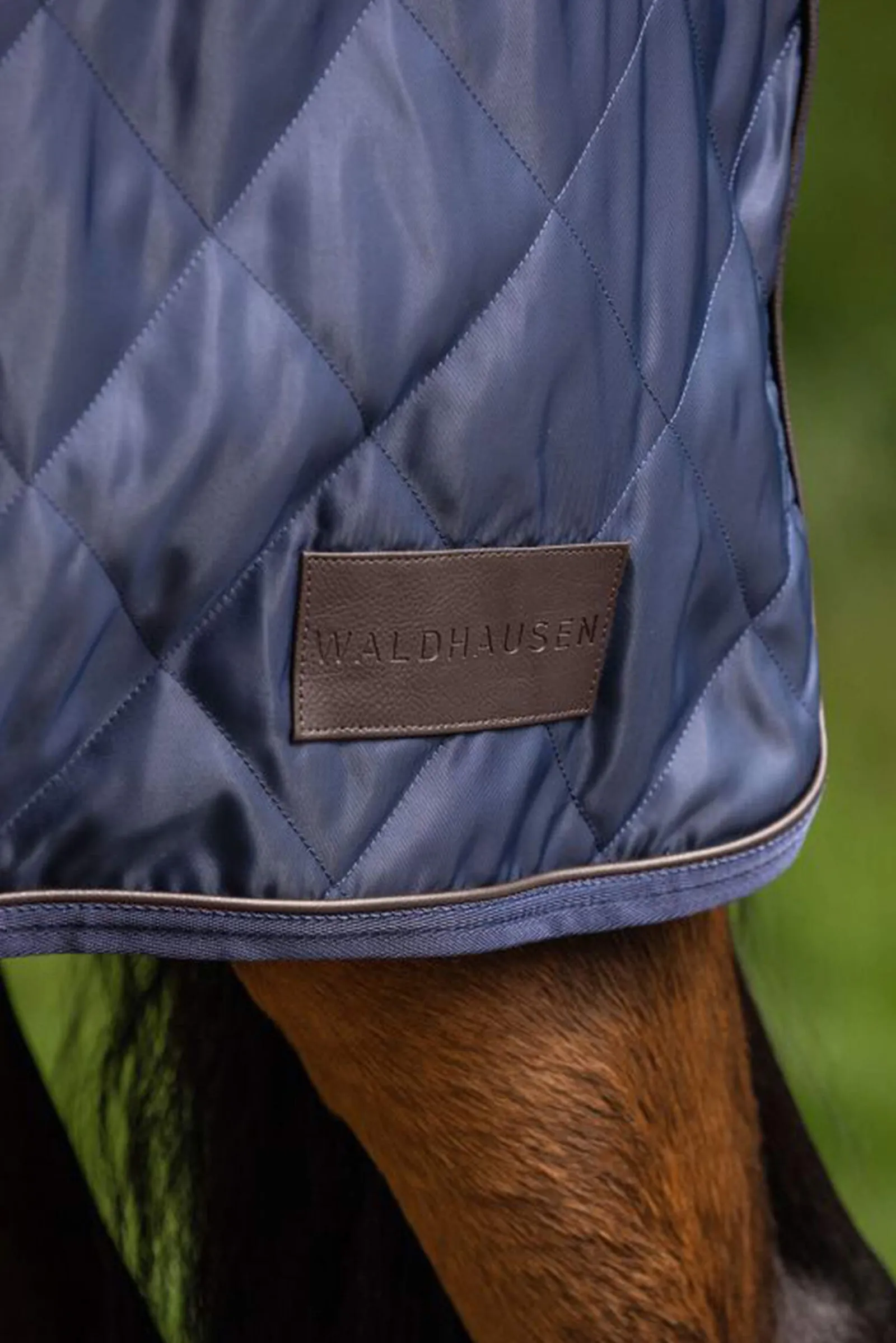 Sale Exclusive Horsewalker Sheet, 50g Walker Rugs