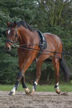 New Lunging System Lunge Lines & Lunging Ropes|Lunge Lines & Lunging Ropes