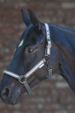 Fashion Reflex Stripe Halter Headcollars & Halters