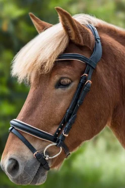 Outlet Rose Icelandic Bridle Pony Bridles & Halters|Bridles & Nosebands