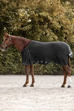 Hot Scandic Turnout Rug, 200 g Medium & Heavyweight Turnout Rugs