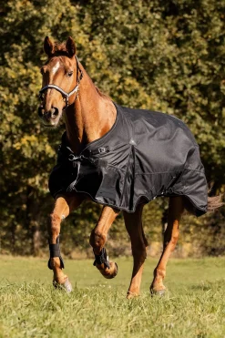 Hot Scandic Turnout Rug, 200 g Medium & Heavyweight Turnout Rugs
