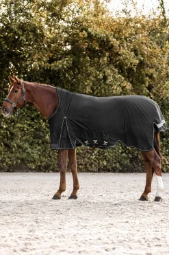 Hot Scandic Turnout Rug With High Neck, 200g Medium & Heavyweight Turnout Rugs