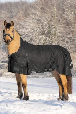 Hot Scandic Turnout Rug With High Neck, 200g Medium & Heavyweight Turnout Rugs