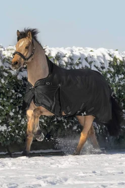 Hot Scandic Turnout Rug With High Neck, 200g Medium & Heavyweight Turnout Rugs