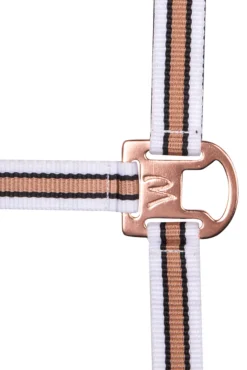 Fashion Shine Halter Headcollars & Halters