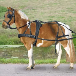 Hot Single Harness Pony and Shetty Harness Kits