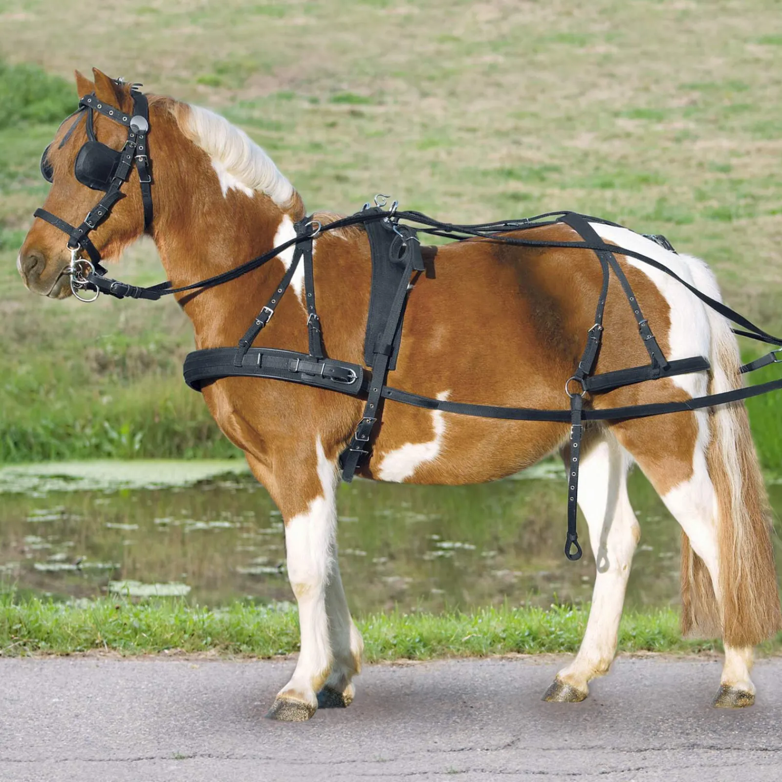 Hot Single Harness Pony and Shetty Harness Kits