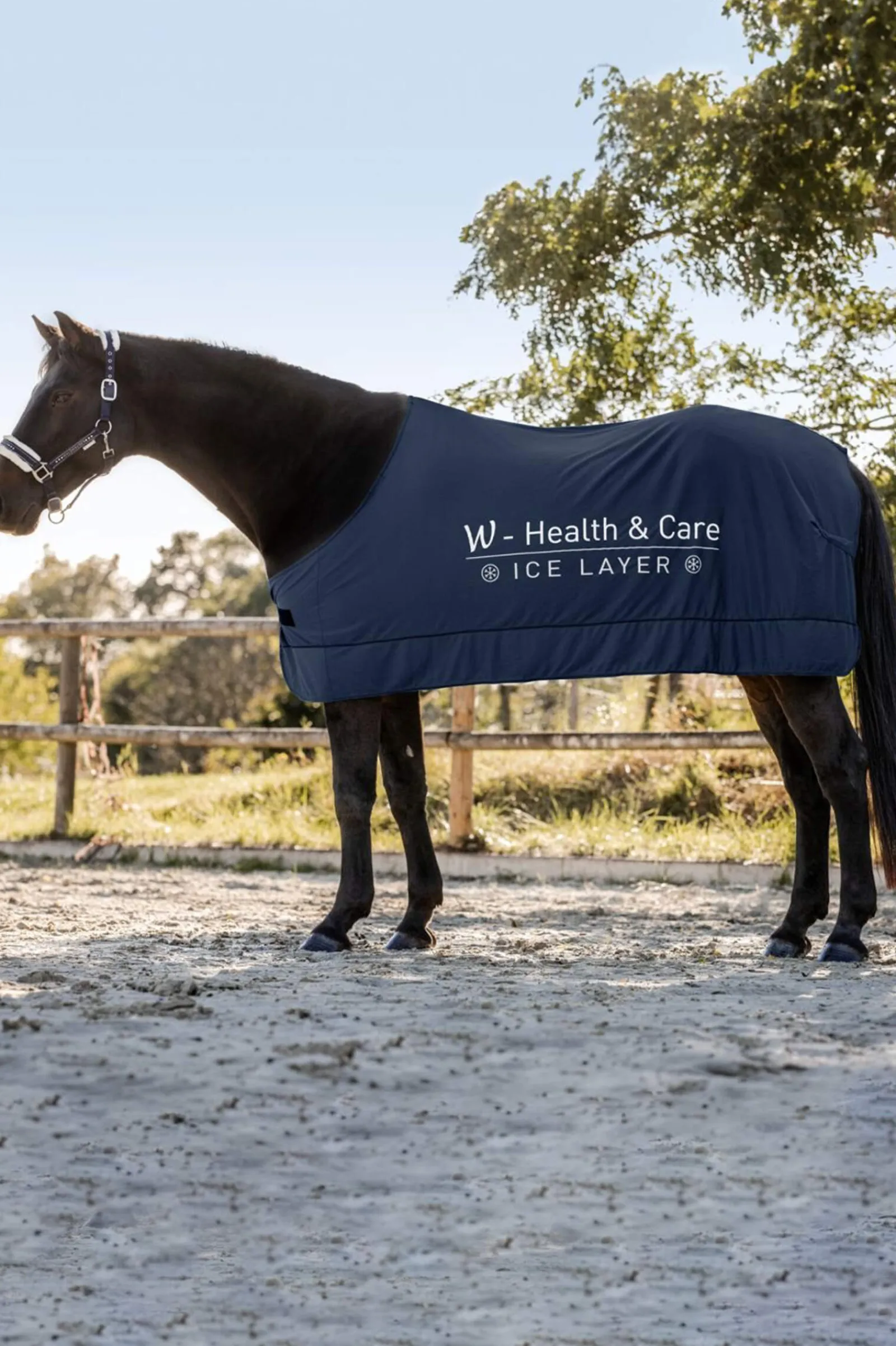 Best W-health & care Ice Layer Rug Therapy Rugs
