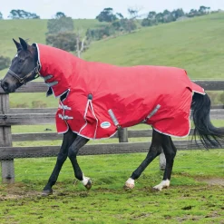Online Comfitec Classic Combo Neck Turnout Rug, 100g Medium & Heavyweight Turnout Rugs|Lightweight Turnout Rugs