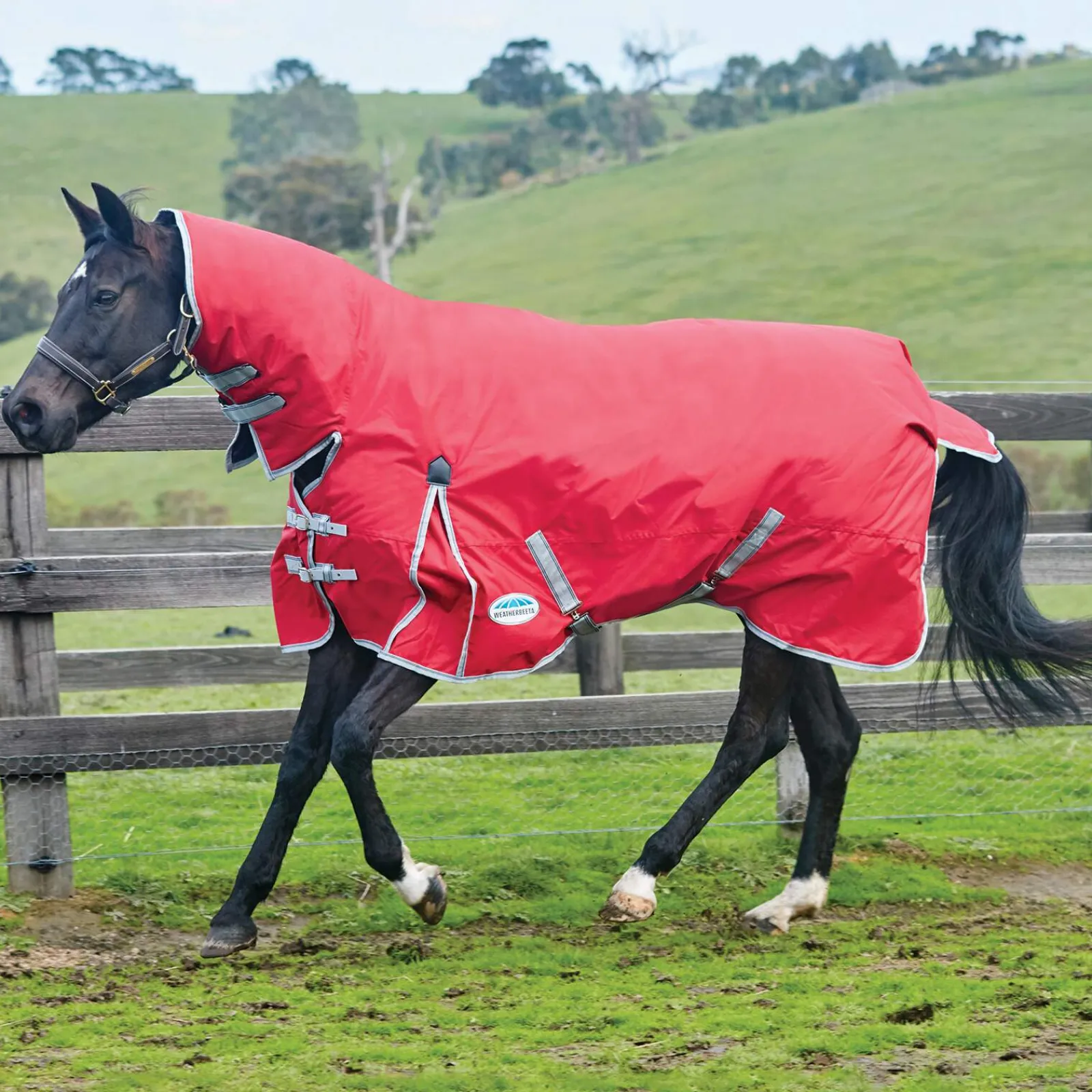 Online Comfitec Classic Combo Neck Turnout Rug, 100g Medium & Heavyweight Turnout Rugs|Lightweight Turnout Rugs