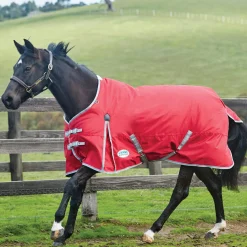 New Comfitec Classic Turnout Rug, 100g Medium & Heavyweight Turnout Rugs|Lightweight Turnout Rugs