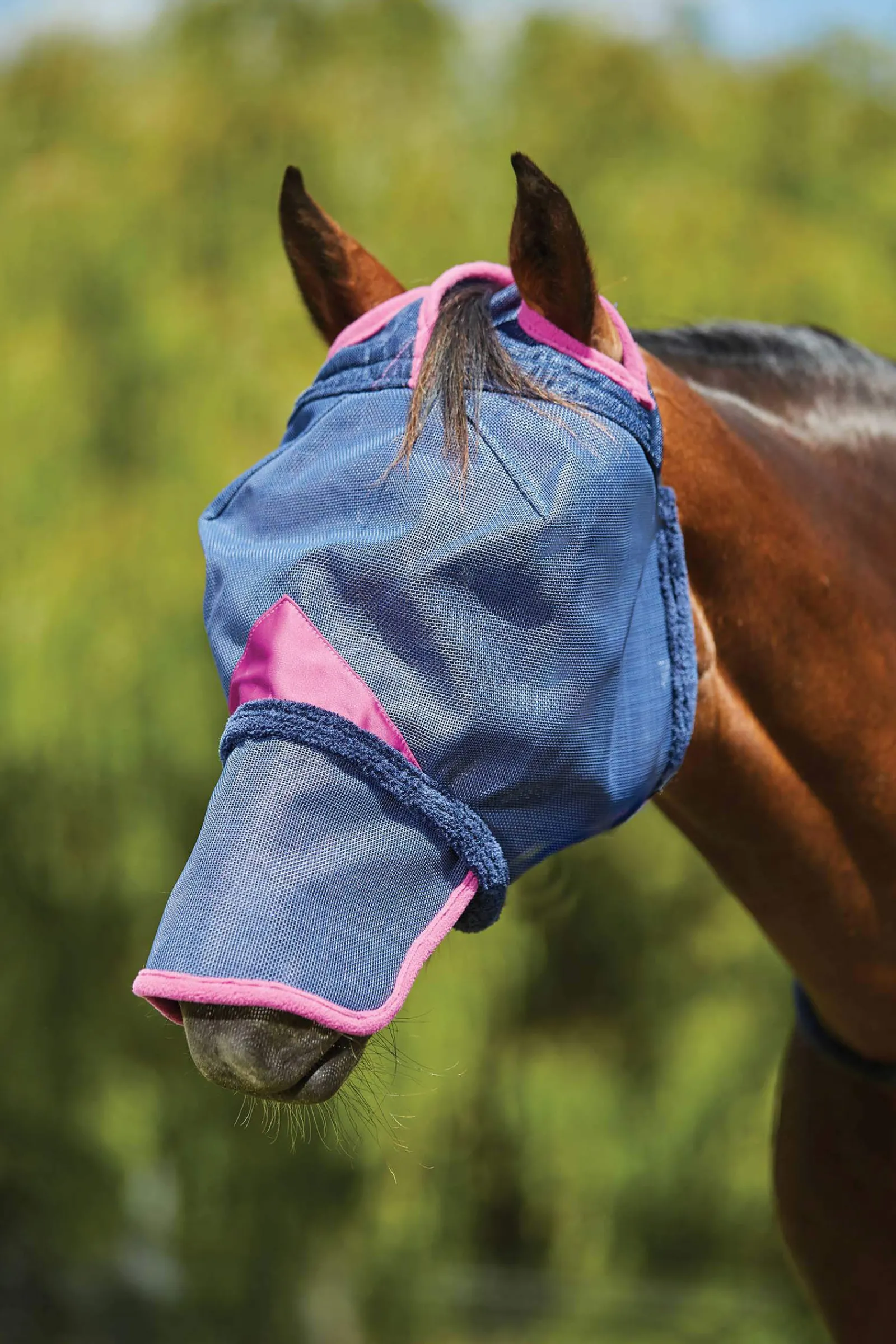 Best Comfitec Deluxe Durable Mesh Mask with Nose Fly Masks & Fringes|Fly Masks & Fringes