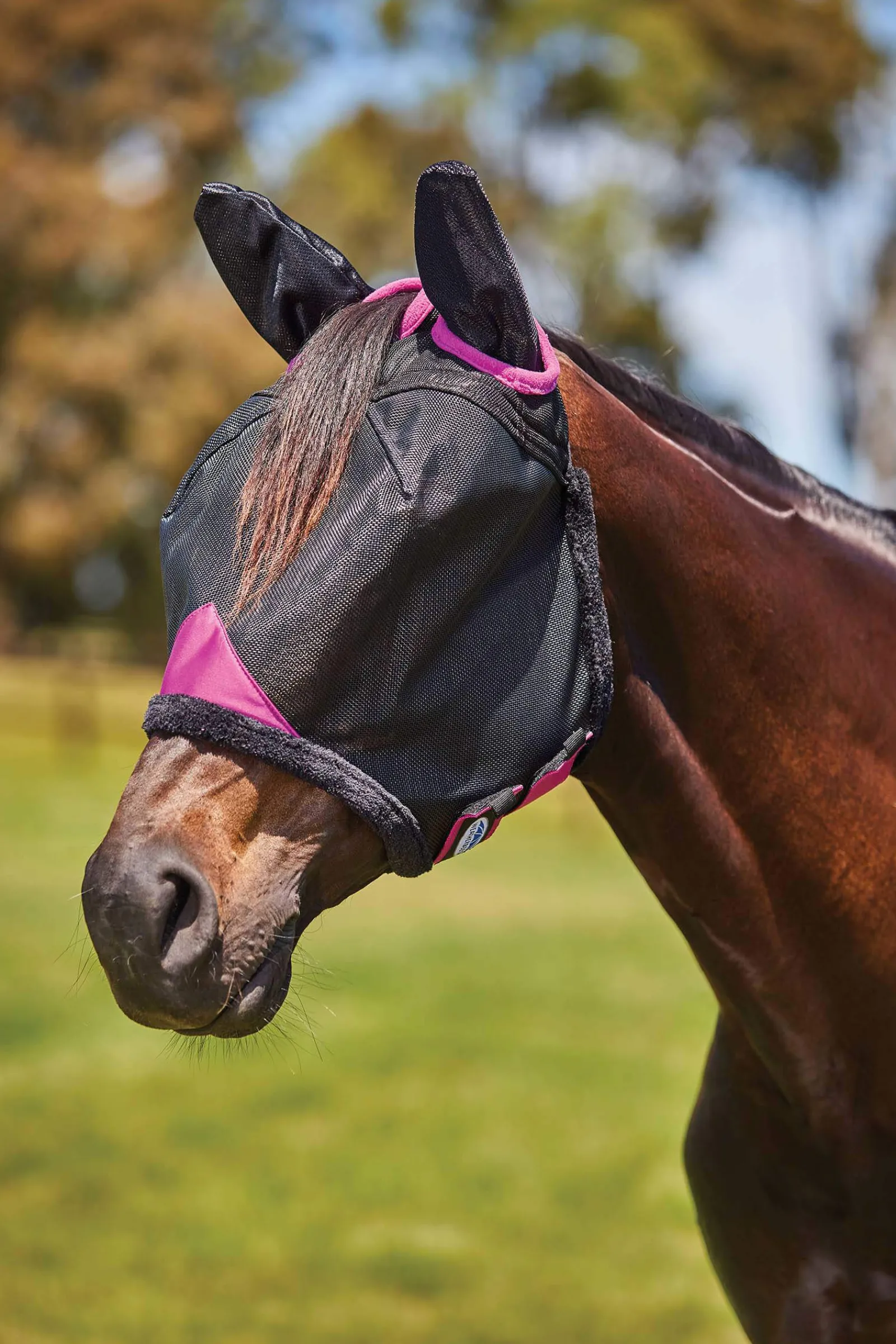 Clearance Comfitec Deluxe Durable Mesh Mask with Ears Fly Masks & Fringes|Fly Masks & Fringes