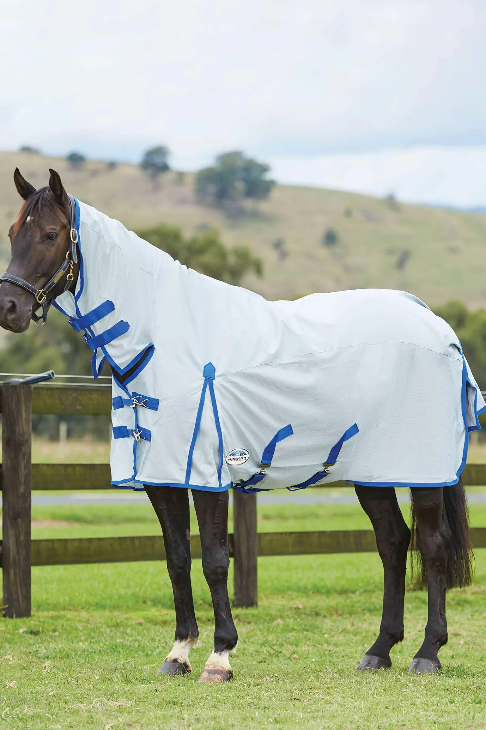 Online Comfitec 600D/Mesh II Fly Rug with Fixed Neck Fly Rugs|Fly Rugs