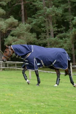 Sale Comfitec Essential Detach-a-Neck Medium Turnout Rug, 220g Medium & Heavyweight Turnout Rugs