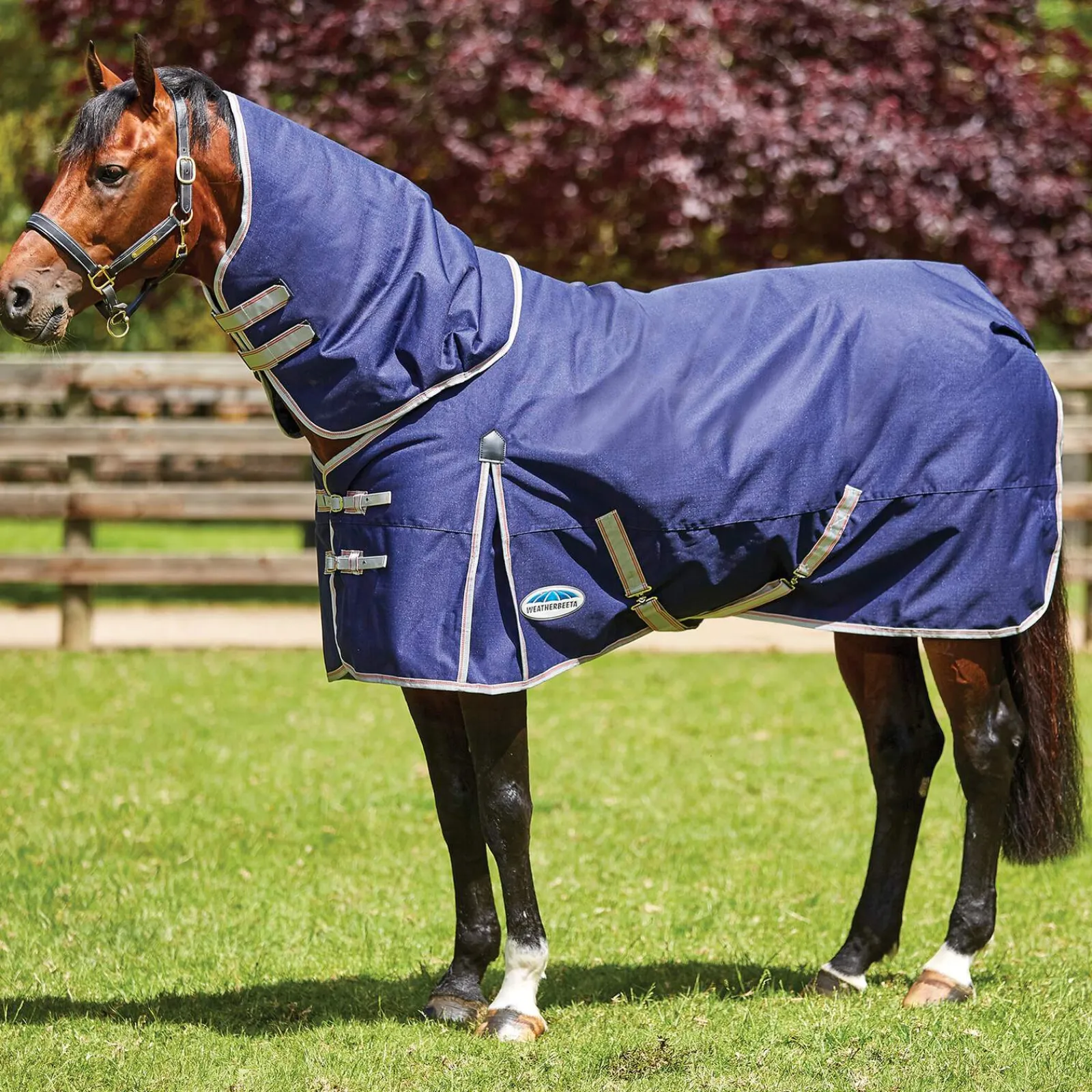 Discount Comfitec Essential Detach-a-Neck, 50g Lightweight Turnout Rugs