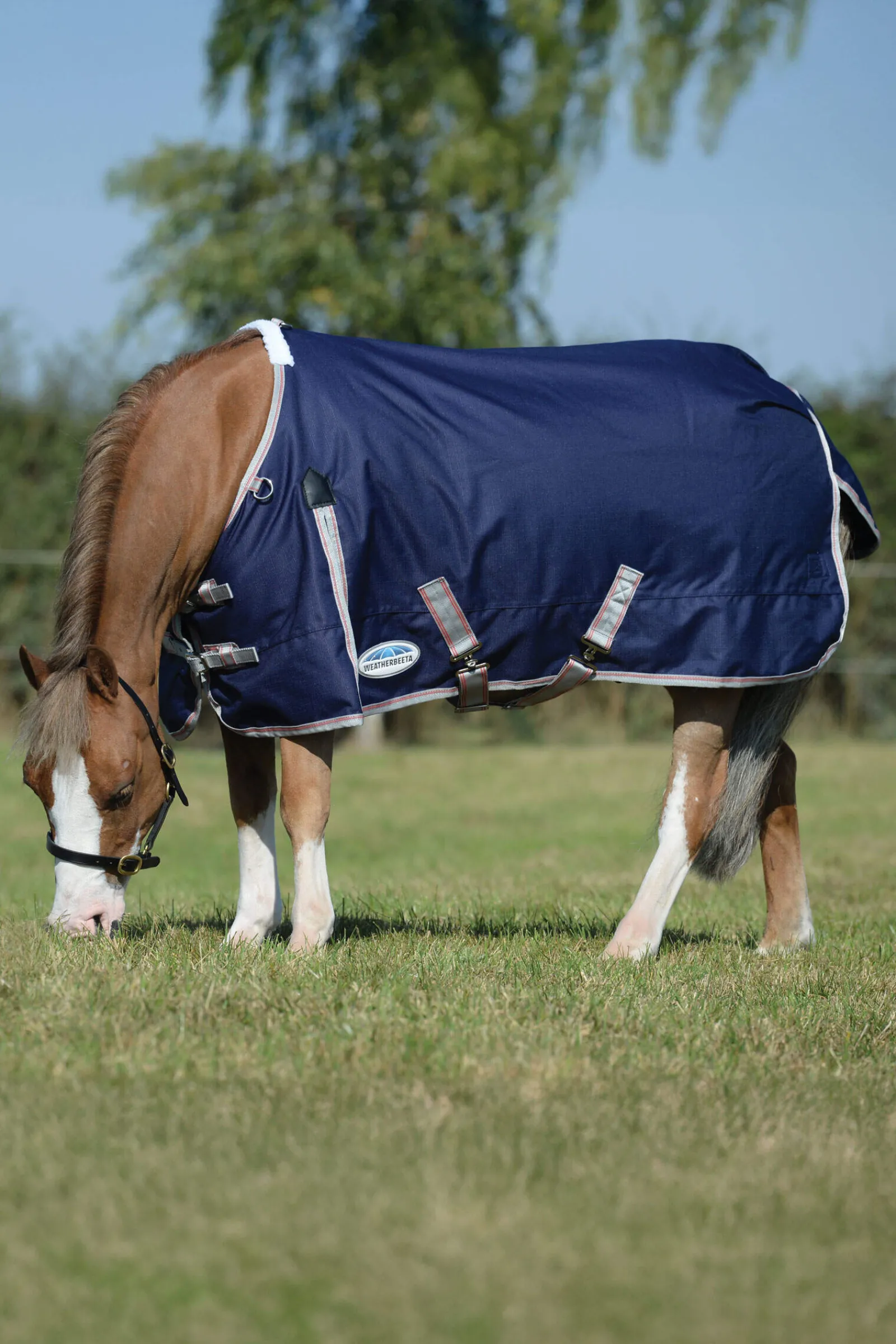 Discount Comfitec Essential Plus Turnout Rug, 50g Lightweight Turnout Rugs